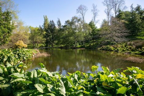 Photo of property in 129 Bell Road, Papamoa, 3187