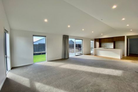 Photo of property in 55 Fairmaid Street, Lincoln, 7608