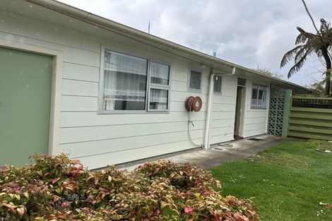 Photo of property in 17b Cambridge Street, Pahiatua, 4910
