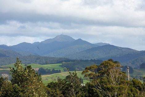 Photo of property in 12 Princes Street, Waikino, Waihi, 3682