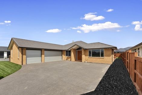 Photo of property in 17 Sydney Place, Flagstaff, Hamilton, 3210