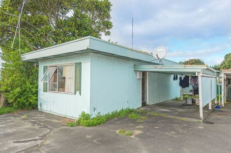 Photo of property in 45e Rimu Street, Gonville, Whanganui, 4501