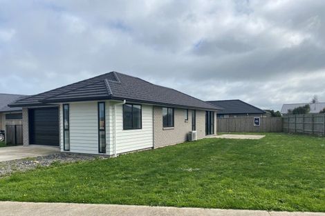 Photo of property in 68 Hinemoa Street, Levin, 5510