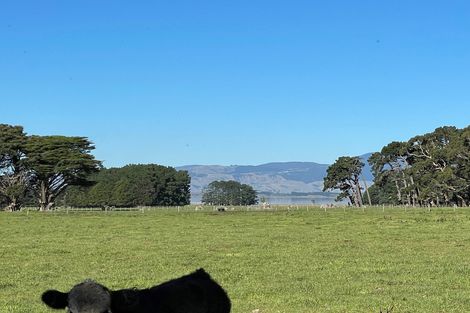 Photo of property in 523 Western Lake Road, Western Lake, 5773