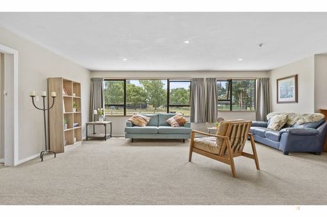 Photo of property in 118 Mcnair Road, Temuka, 7920