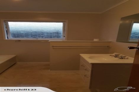 Photo of property in 133 Fitzroy Avenue, Fitzroy, Hamilton, 3206