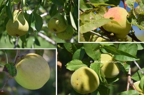 Photo of property in 354 Linton Road, Maungaturoto, 0583