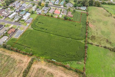 Photo of property in 20 Coolen Place, Tuakau, 2121