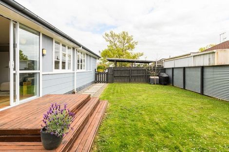 Photo of property in 5a Leicester Street, Terrace End, Palmerston North, 4410