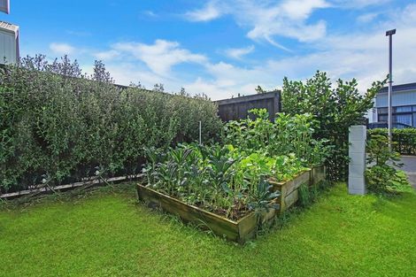 Photo of property in 55 Battalion Drive, Papakura, 2110