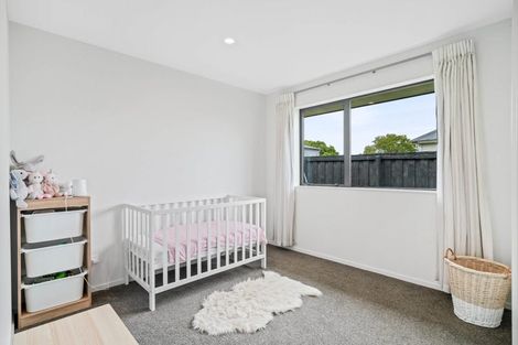 Photo of property in 17a Normanby Street East, Rakaia, 7710