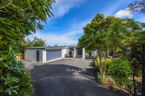 Photo of property in 386 Trafalgar Street, Nelson, 7010