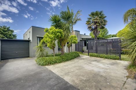 Photo of property in 54 Osier Road, Greenmeadows, Napier, 4112