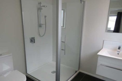 Photo of property in 43 Tennille Street, Flagstaff, Hamilton, 3210