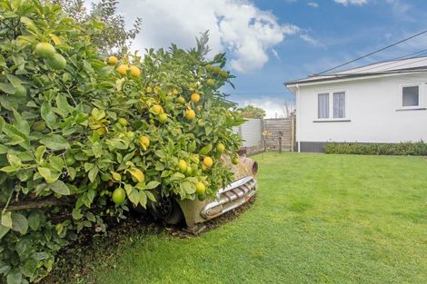 Photo of property in 12 Jellicoe Street, Waipukurau, 4200