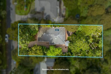 Photo of property in 22 Waima Crescent, Titirangi, Auckland, 0604