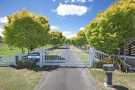 Photo of property in 84 Johnson Street, Bulls, 4818