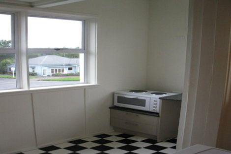 Photo of property in 112 Williamson Avenue, Grey Lynn, Auckland, 1021