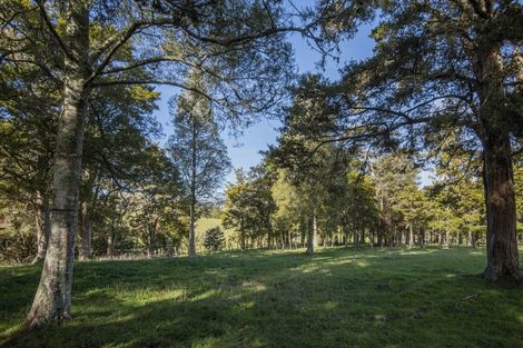 Photo of property in 133a Vinegar Hill Road, Kauri, Kamo, 0185