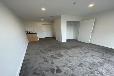 Photo of property in Vsp South, 301/168 Victoria Street, Te Aro, Wellington, 6011