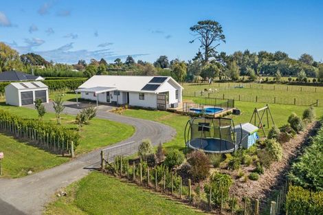 Photo of property in 49 Wakefield Road, Levin, 5571