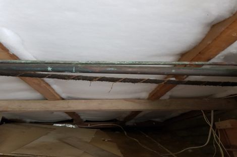 Photo of property in 50 Awarua Street, Ngaio, Wellington, 6035