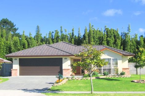 Photo of property in 88 Summerland Drive, Henderson, Auckland, 0612