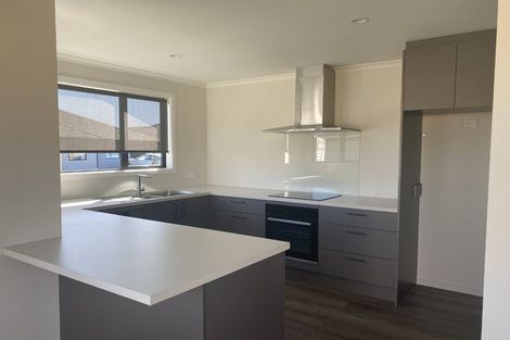 Photo of property in 14 Woodley Road, Richmond, 7020