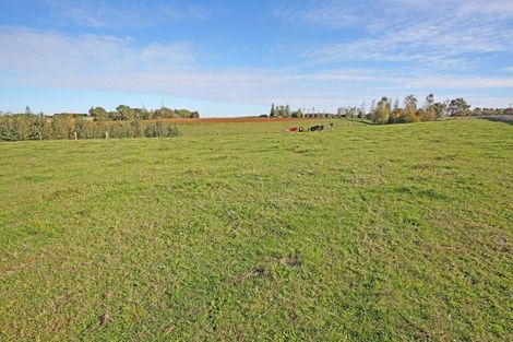 Photo of property in 288 Clark And Denize Road, Pukekawa, 2696