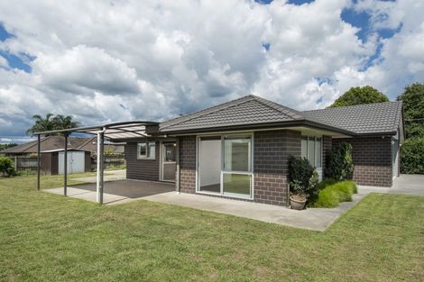 Photo of property in 17 Hoggard Place, Katikati, 3129