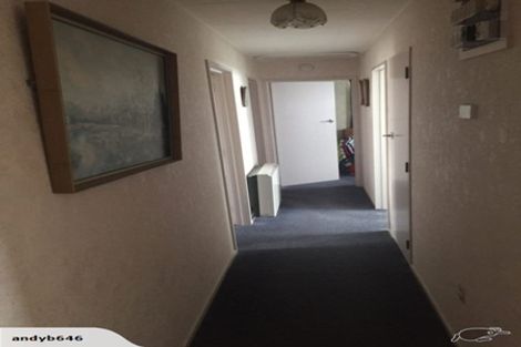 Photo of property in 3 Thames Street, Gore, 9710