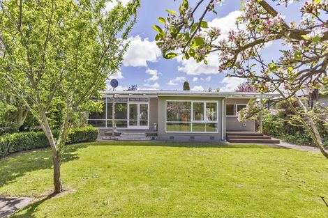 Photo of property in 19 Sheffield Street, Awapuni, Palmerston North, 4412