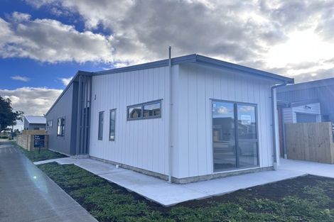 Photo of property in 21 Fredrick Hanson Road, Papakura, 2110
