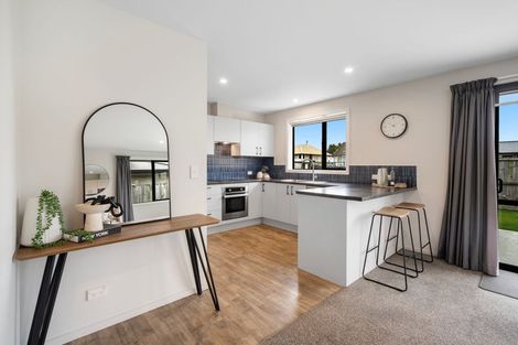 Photo of property in 30 Willow Street, Hampstead, Ashburton, 7700