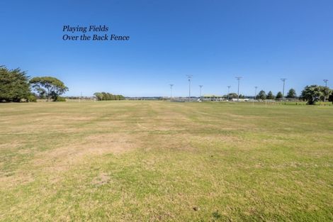 Photo of property in 6 Drake Street, Levin, 5510