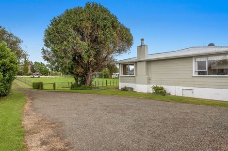 Photo of property in 25 Waioeka Road, Opotiki, 3122