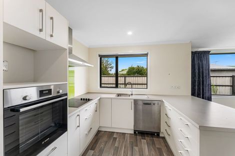 Photo of property in 77a Forest Drive, Methven, 7730