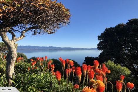 Photo of property in 20 Tory Way, Omokoroa, 3114