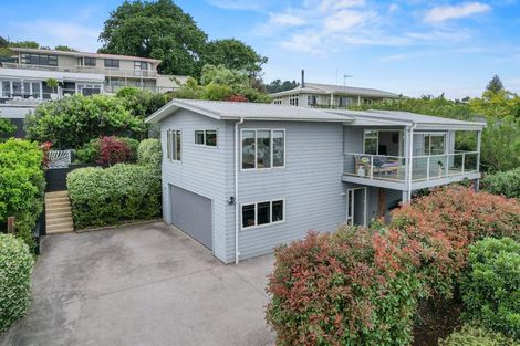 Photo of property in 110 Sandes Street, Thames, 3500