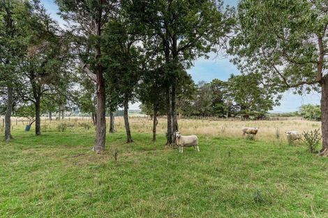 Photo of property in 30 Sandon Block Road, Ohingaiti, Hunterville, 4783