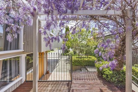 Photo of property in 19 Sheffield Street, Awapuni, Palmerston North, 4412