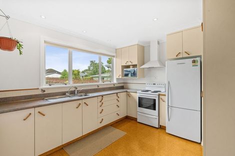 Photo of property in 9 Chester Street, Levin, 5510