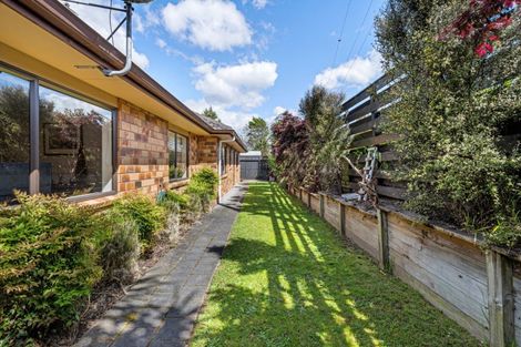 Photo of property in 168c Otumoetai Road, Brookfield, Tauranga, 3110