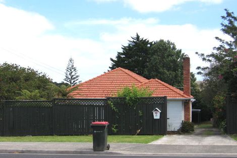 Photo of property in 5 Rogan Street, Mount Roskill, Auckland, 1041