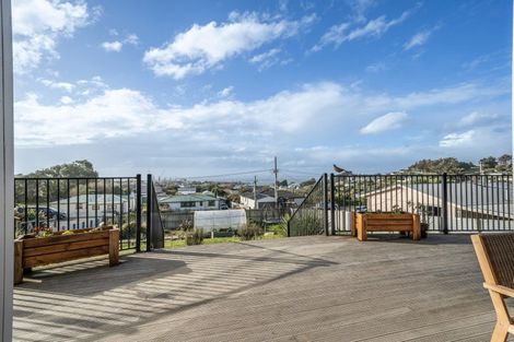 Photo of property in 46a Theodore Street, Bluff, 9814