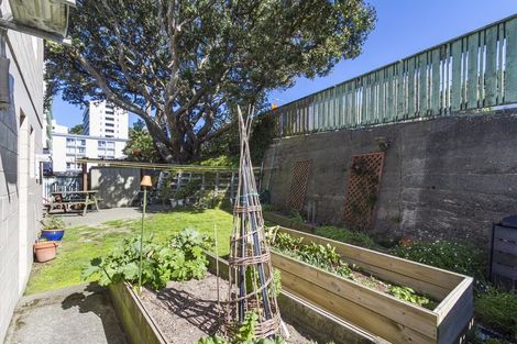 Photo of property in 316 Mansfield Street, Newtown, Wellington, 6021