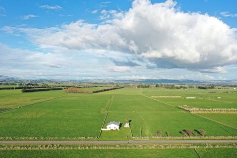 Photo of property in 104 Durie Road, Aorangi, Feilding, 4775