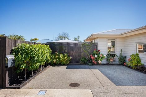 Photo of property in 55b Ferguson Street, Awapuni, Palmerston North, 4412