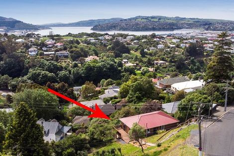 Photo of property in 113 Maryhill Terrace, Maryhill, Dunedin, 9011