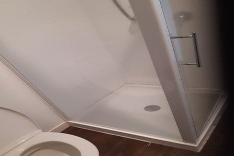 Photo of property in 3/81 Bordesley Street, Phillipstown, Christchurch, 8011